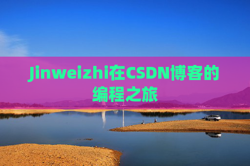 Jinweizhi在CSDN博客的编程之旅